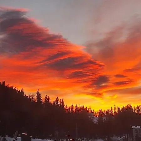 Private Lora - Vucko 4*